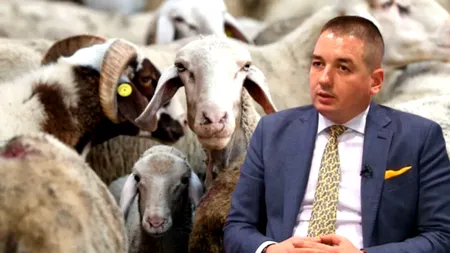 Cine l-a salvat de demitere pe șeful ANSVSA Alexandru Bociu