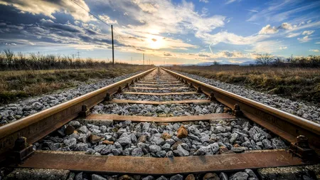 Un tren a lovit mortal un cioban și o turmă de oi