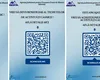 Ce sunt tichetele de prestator casnic, ce valoare au şi cum pot fi procurate