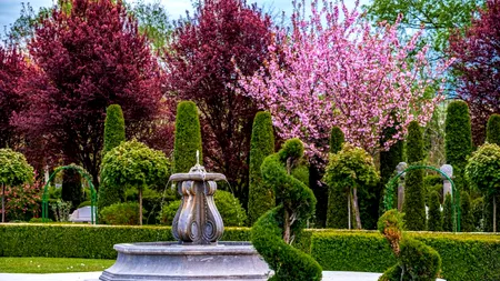 „Toscana din Ardeal”: grădina botanică prin care s-a adus Italia în România