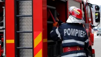 Zeci de animale au ars într-un incendiu devastator izbucnit la un adăpost din Arad