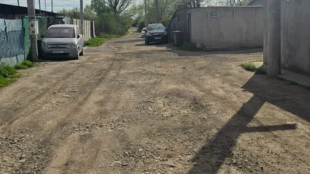 Străzi cu noroaie, fără canalizare și transport, în cel mai bogat sector al Capitalei. Halucinațiile primarului Clotilde Armand legate de amenajarea spațiilor verzi. FOTO