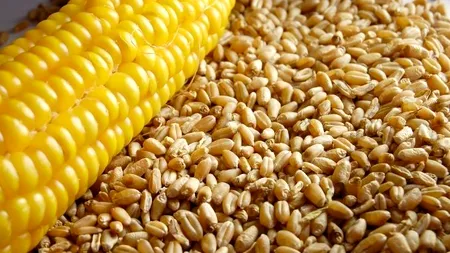 MADR: România nu a importat cereale din Ucraina, în 2024