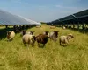 Ministru, afirmaţie şocantă: România nu mai este de ani buni un mare producător de energie