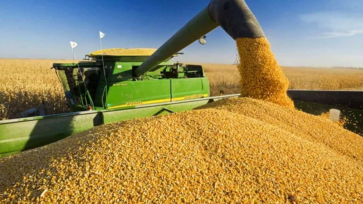 Radiografia agroalimentară: De ce România e 