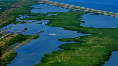 Hidroelectrica vrea să construiască un parc eolian uriaș în zona strict protejată a Deltei Dunării