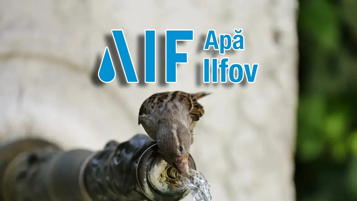 Apă-Canal Ilfov a anunțat programul de sărbători