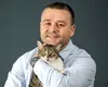 Ciucu scoate biciul: PSD a dărâmat guvernul, apoi a dispărut în ceață