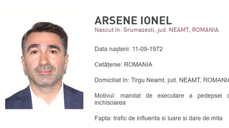 Fostul baron de Neamț, Ionel Arsene, va fi extrădat în România