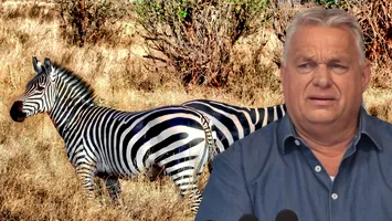Struți, tigri și zebre: colecțiile bizare de animale ale liderilor autoritari. Orbán deschide lista