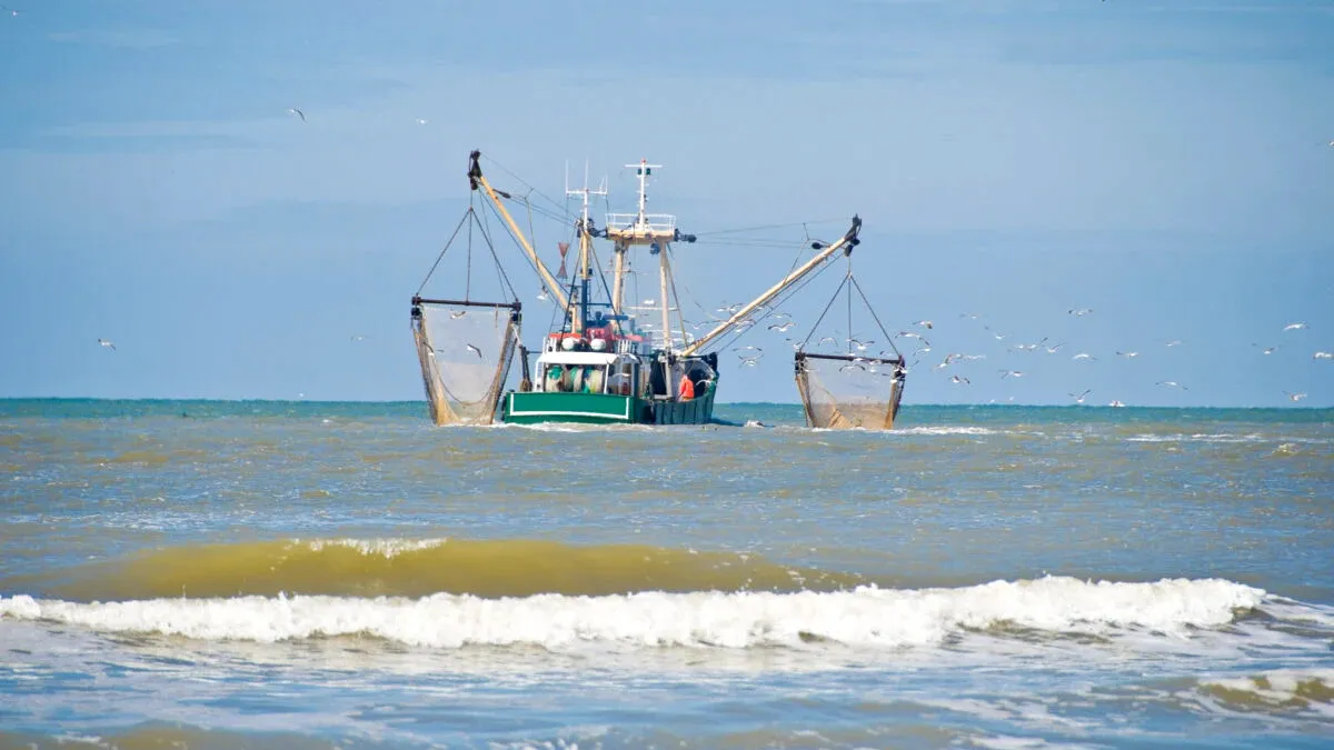 Facilitate uriașă pentru pescarii români din Marea Neagră
