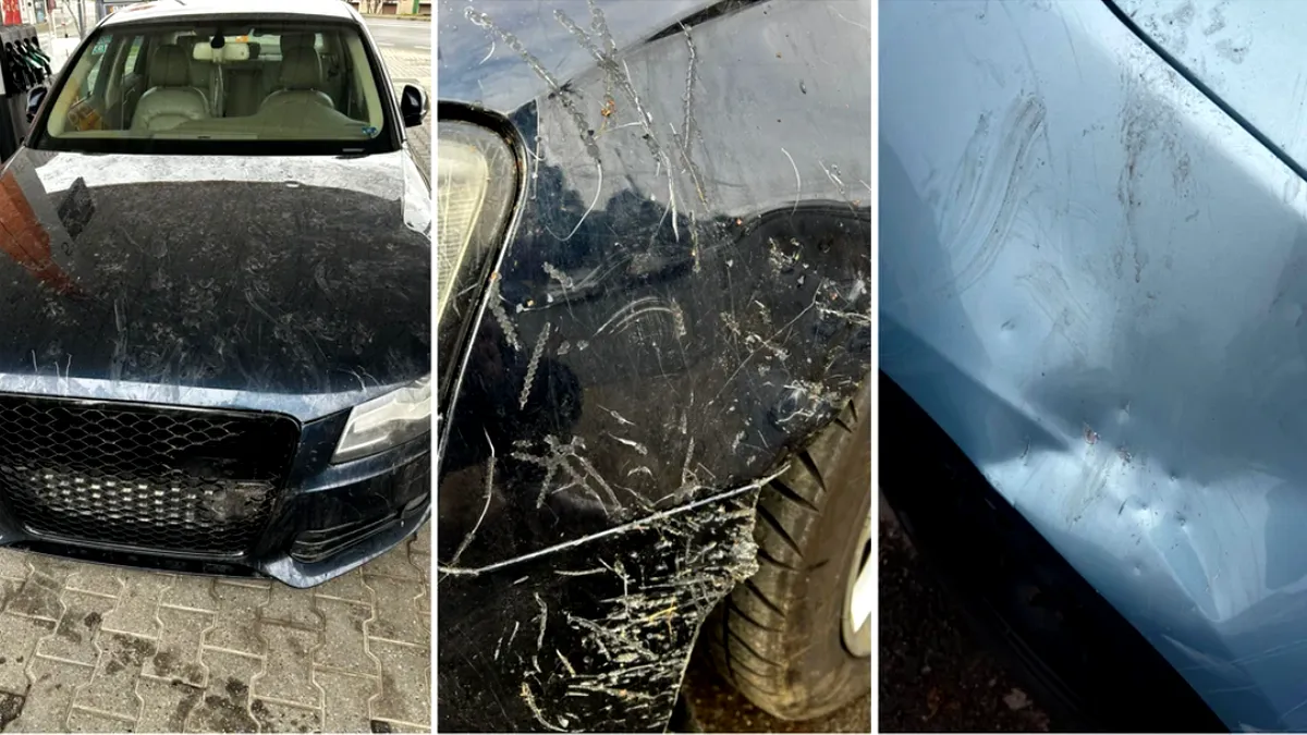 O haită de câini a „devorat” patru mașini în Arad. „Am rămas fără cuvinte”