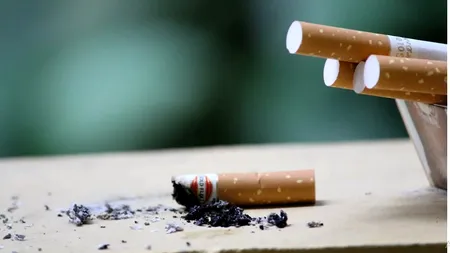 Șase metode de fraudare a bugetului de stat dezvăluite de un document oficial