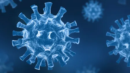 Un nou coronavirus descoperit în Wuhan, China. Cât de periculos este pentru oameni