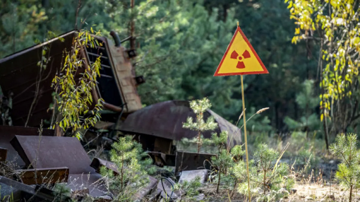 Descoperire uluitoare la Cernobîl. O ciupercă pune la încercare biologia