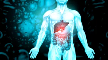 Cum un organ bolnav poate accelera îmbătrânirea altor organe