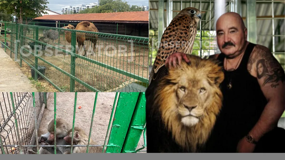 Polițiștii i-au confiscat animalele lui Nuțu din Grădina Zoo de la marginea Bucureștiului