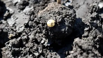 Așezare celtică plină de aur și argint, descoperită în Boemia