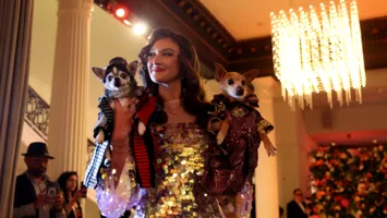 Diferite rase de câini au participat la Pet Gala 2025. Cum au fost îmbrăcate starurile din lumea canină
