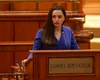 Gălăgie în Parlament: Gavrilă țipă, Predoiu ironizează, Șerban taie microfonul
