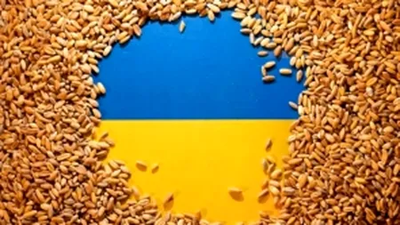 Bulgaria oprește importul de semințe de floarea soarelui din Ucraina