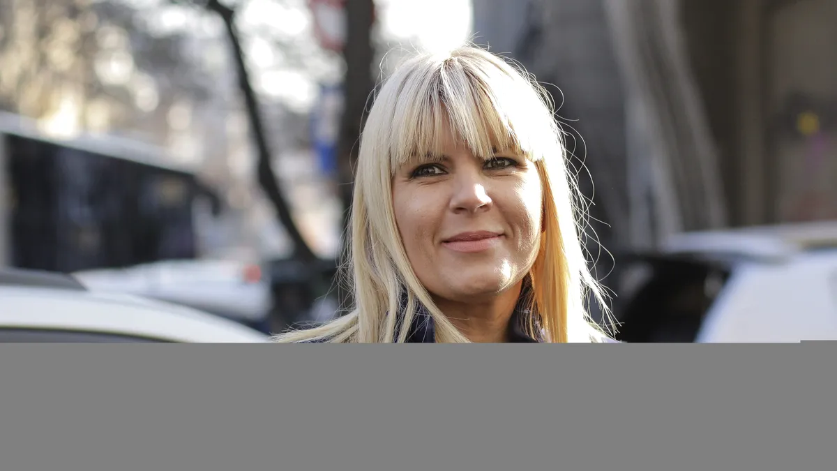 ANAF vinde un teren al Elenei Udrea, evaluat la 2 milioane de euro