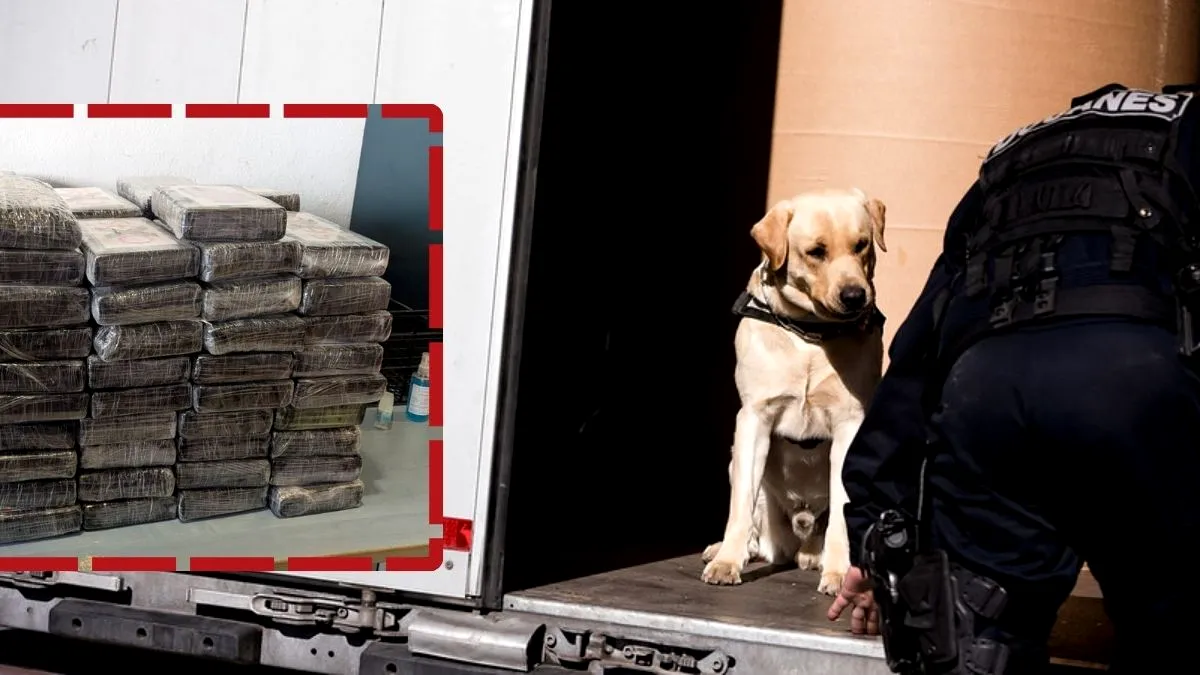 Român prins cu 50 kg de cocaină în camion, pe o autostradă din Franța