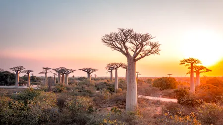 Tot mai mulți români aleg să se stabilească în Madagascar