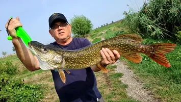 Pescărească. De ce nu se prinde știuca în octombrie. Fir întins !