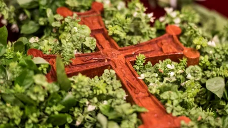 Plantele vindecătoare pe care e bine să le ai azi, de Ziua Crucii