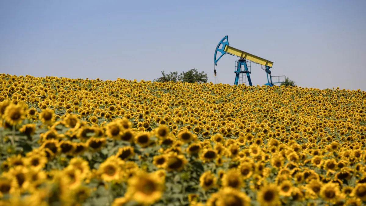 OMV Petrom a descoperit noi resurse de țiței și gaze naturale în România