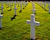 Scene șocante la un cimitir din Brăila. Morții, scoși din morminte pentru neplata taxelor