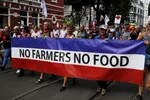 Fermierii se simt abandonați de autoritățile europene