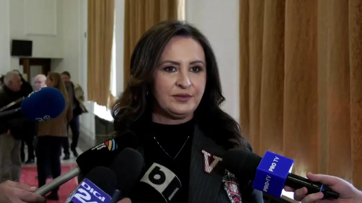 Natalia Intotero, declarații de la Palatul Parlamentului despre tezaurul furat