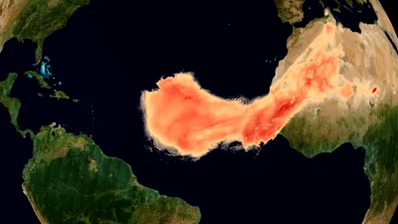Praful saharian care hrănește oceanele și pădurile tropicale: particulele purtate de vânt din deșertul african susțin viața la mii de kilometri distanță
