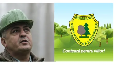 Directorul Cezar Răduță, trimis în judecată de DNA pentru mită, a fost promovat la conducerea Romsilva pentru „performanțele profesionale individuale”