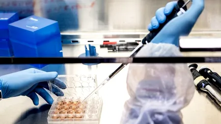 Au început studiile clinice de fază 2 pentru vaccinul individualizat pe bază de ARN mesager contra cancerului colorectal