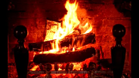 Ministrul Mediului: România nu va renunţa la lemnul de foc ca sursă de încălzire
