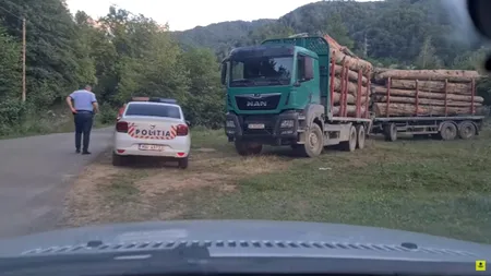 Mafia pădurilor operează în voie la Buzău, iar autoritățile sunt părtinitoare!