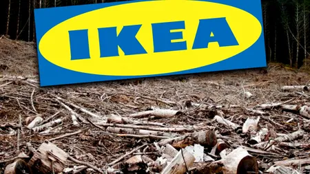 Ikea, aspru criticată în presa internațională: ”Un copac tăiat la fiecare 2 secunde”