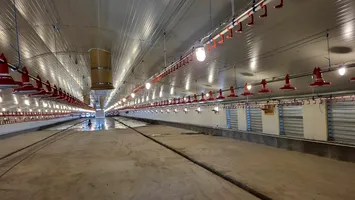 Investiție de aproape patru milioane de euro într-o fermă avicolă. Va genera 300.000 de pui pe an (FOTO&VIDEO)