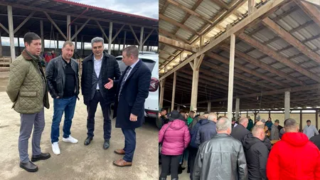Crescătorii de ovine au pus țara la cale la Hunedoara