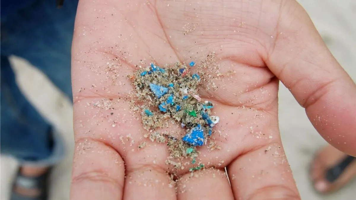 Microplastice, în toate organele, inclusiv în creier și placentă