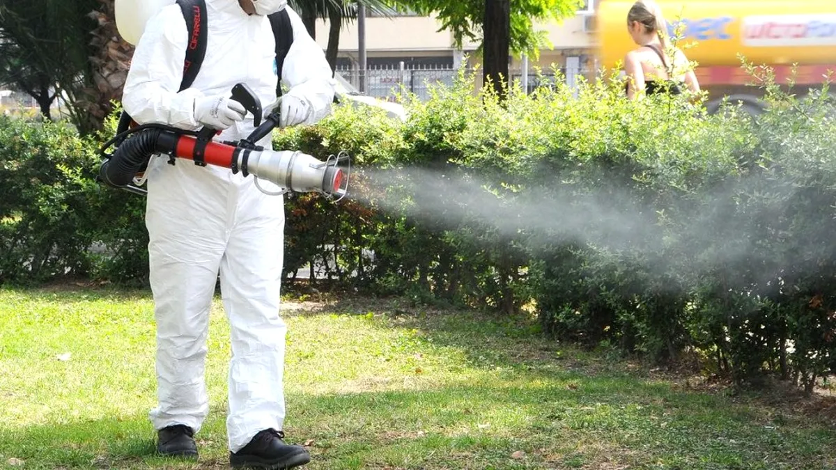 De ce trebuie să apelezi la servicii profesionale de dezinsecție dacă vrei să scapi de dăunători?