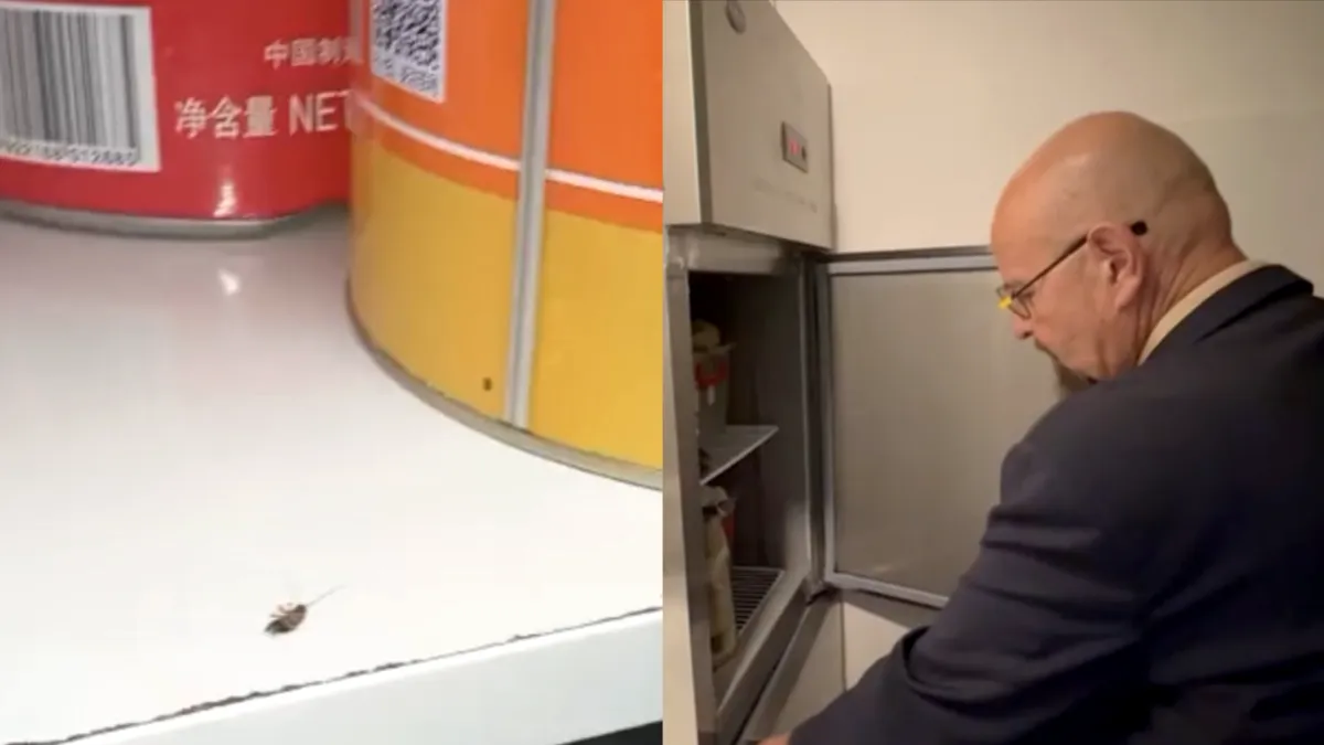 Piedone, control-fulger într-un restaurant chinezesc dintr-un mall din București. Gândaci, mizerie și mâncare expirată (VIDEO)