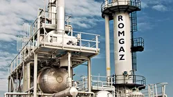 Romgaz, profit în scădere cu 40% în anul în care pariază 6 miliarde de lei pe gaz și îngrășăminte