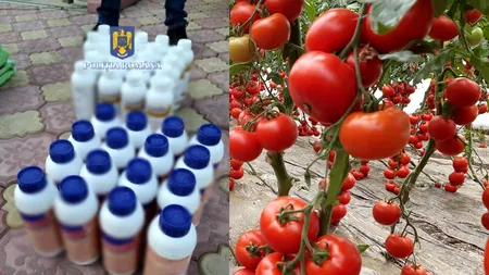 Roșia otrăvită: 70 de producători din mai multe județe ar fi folosit substanțe toxice pentru coacere forțată  