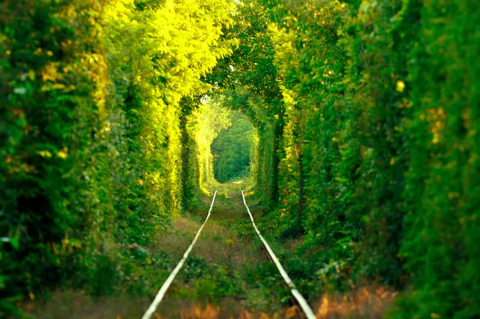 Tunelul verde al iubirii