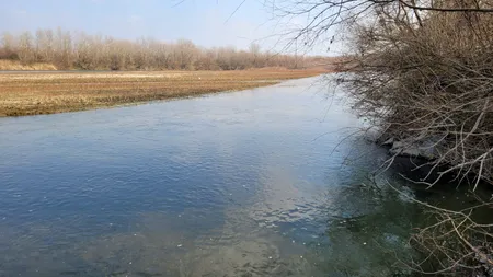 Poluare pe un important râu din România. Autorităţile, în alertă după ce au fost descoperiţi peşti morţi (FOTO)
