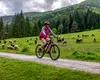 Ciclist atacat de o capră, la Turul Italiei